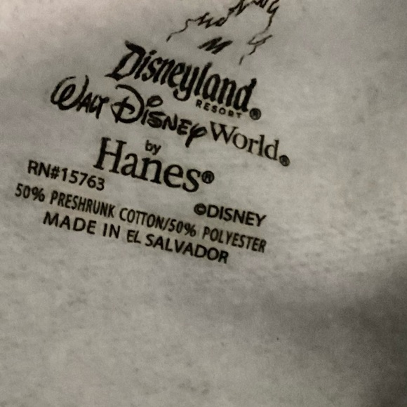 Disneyland Resort x Hanes Sweatshirt - Picture 4 of 5